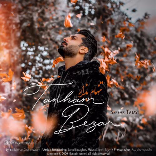 دانلود آهنگ تنهام بزار سپهر تاجایی